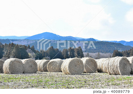 干草ロール 40089779