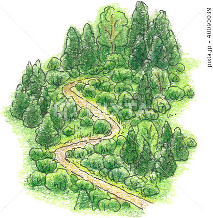 森の小径のイラスト素材 [40090039] - PIXTA