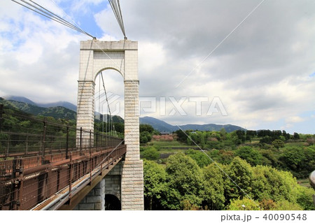 神奈川県秦野市　秦野戸川公園　風の吊り橋 40090548