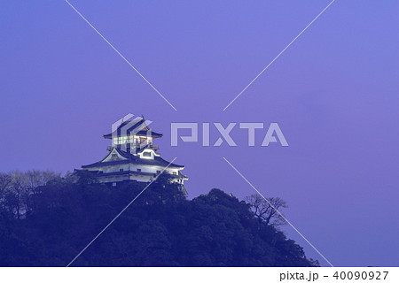 国宝犬山城　夜景 40090927