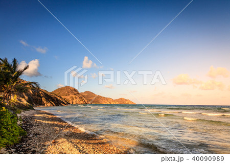 Beach scene in British Virgin Islands 40090989