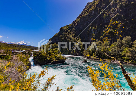 カラファテ 40091698