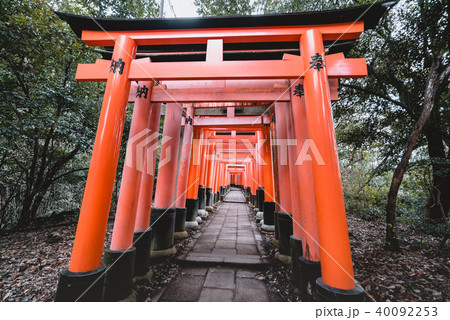 Fushimi Inari Shrine, shrine, Torii 40092253