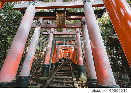 Fushimi Inari Shrine, shrine, Torii Fushimi Inari Shrine, shrine, Torii 40092255