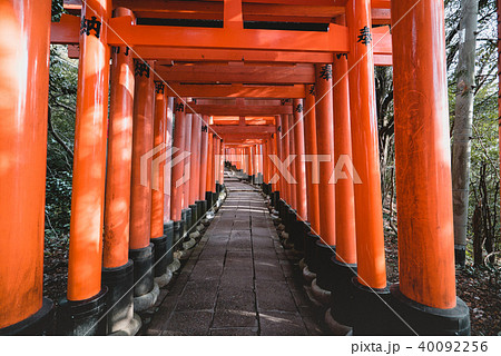 Fushimi Inari Shrine, shrine, Torii Fushimi Inari Shrine, shrine, Torii 40092256
