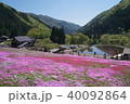 芝桜2 40092864