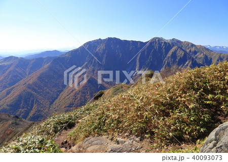 秋の白毛門頂上から見た谷川岳 一ノ倉沢岩壁 40093073