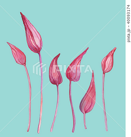 Hand Drawn Abstract Flowers Hand Drawn Abstract Flowers 40093174