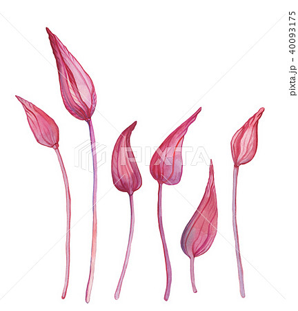 Hand Drawn Abstract Flowers Hand Drawn Abstract Flowers 40093175