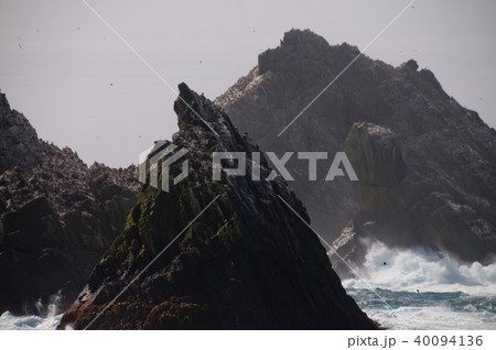 The Shag Rocks 40094136