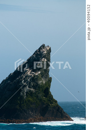 The Shag Rocks The Shag Rocks 40094152