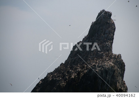 The Shag Rocks 40094162