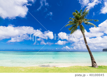 トロピカルビーチ　グアム 40100045