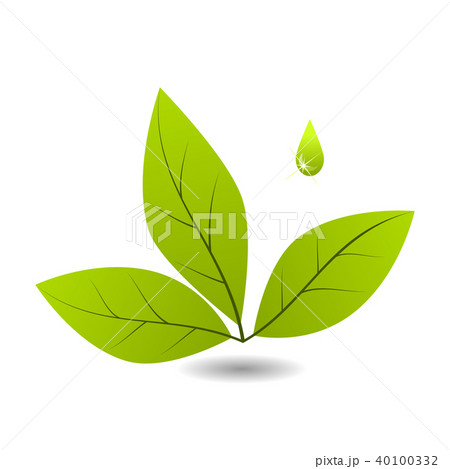 Green Leaves Logo for nature concept. 40100332