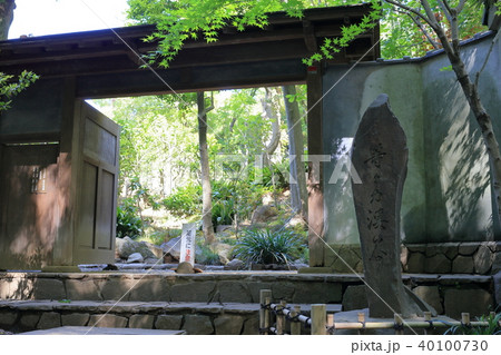 等々力渓谷公園 日本庭園 等々力渓谷公園 日本庭園 40100730