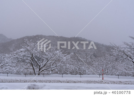 宮城県仙台市 作並の雪景色 宮城県仙台市 作並の雪景色 40100778