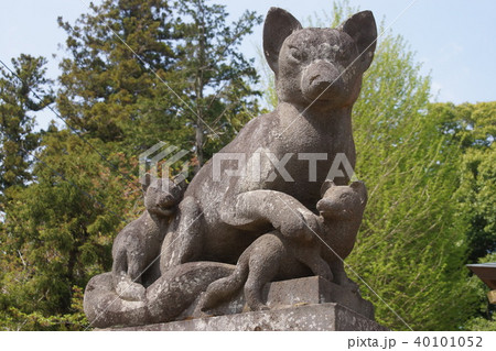 女化神社 女化神社 40101052