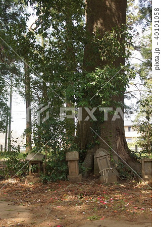 女化神社 女化神社 40101058