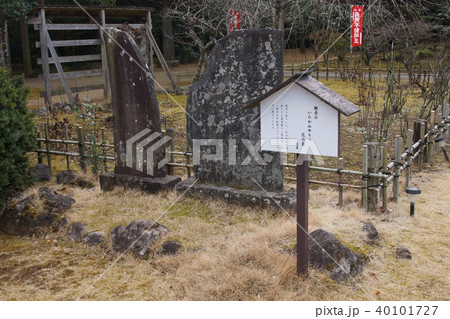 芝山仁王尊観音教寺 40101727
