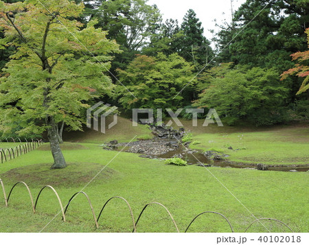 東北の夏 40102018