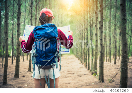 Female tourist travel in pine woods trip hiking 40102269