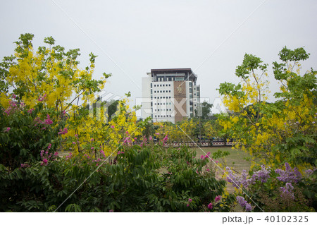 Building  Chiang Mai University 40102325