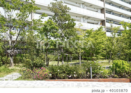 マンションの緑地 40103870