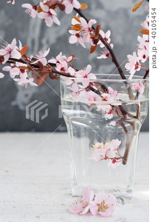 Spring tree flowers Spring tree flowers 40105454