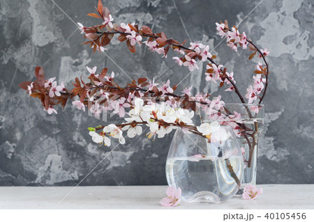 Spring tree flowers 40105456