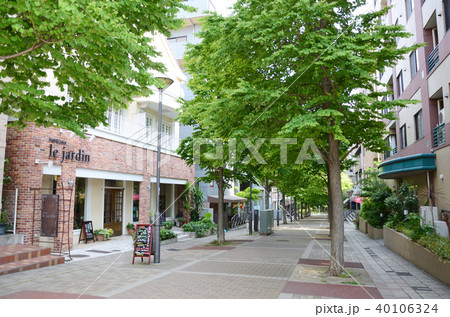 横浜市都筑区 仲町台 商店街 横浜市都筑区 仲町台 商店街 40106324