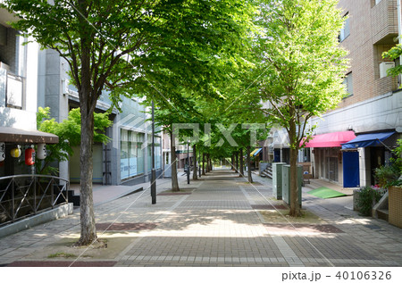横浜市都筑区 仲町台 商店街 横浜市都筑区 仲町台 商店街 40106326