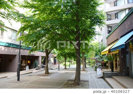 横浜市都筑区 仲町台 商店街 横浜市都筑区 仲町台 商店街 40106327