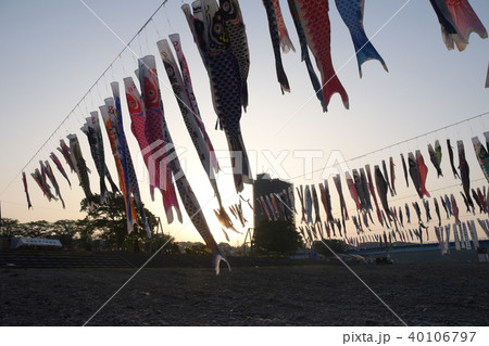 相模川　こいのぼり 40106797