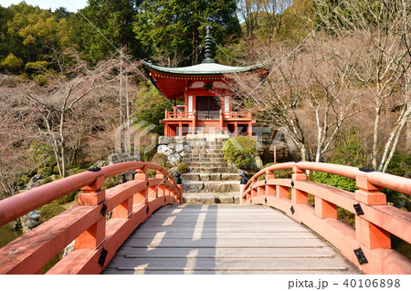 醍醐寺の春 40106898