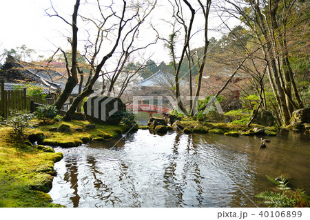 醍醐寺の春 醍醐寺の春 40106899