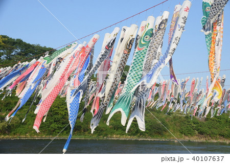相模川　こいのぼり 40107637