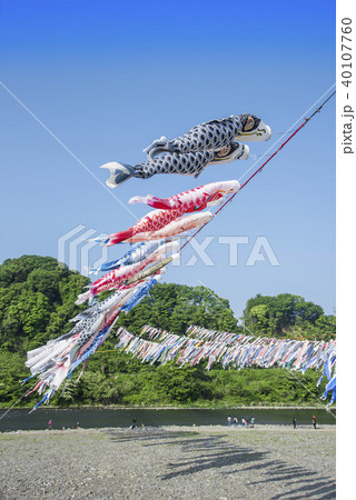 【泳げ鯉のぼり相模川】 40107760