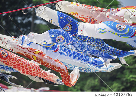 【泳げ鯉のぼり相模川】 40107765