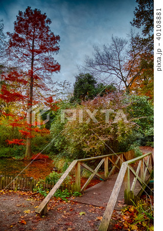 Lush Japanese garden Lush Japanese garden 40108881