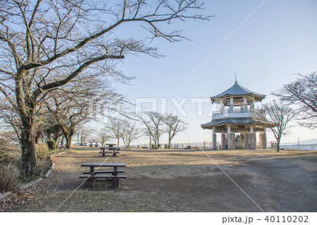 神奈川県秦野市　弘法山公園 40110202