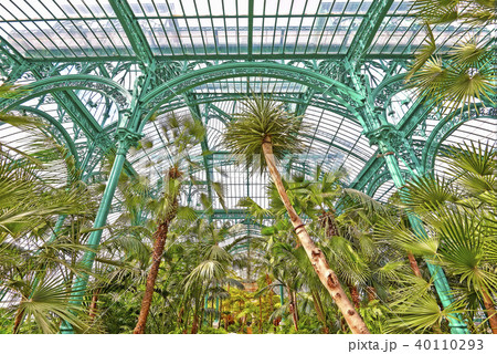 The Royal Greenhouses of Laeken 40110293