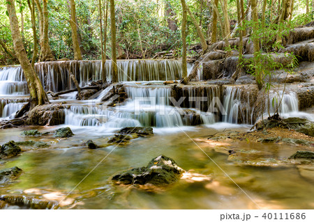 Natural waterfall in tropical jungle forest Natural waterfall in tropical jungle forest 40111686