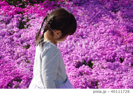 四歳の女の子芝桜のお花畑で 40111726