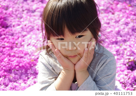 四歳の女の子芝桜のお花畑で 四歳の女の子芝桜のお花畑で 40111753