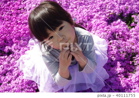 四歳の女の子芝桜のお花畑で 四歳の女の子芝桜のお花畑で 40111755
