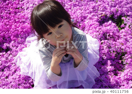 四歳の女の子芝桜のお花畑で 四歳の女の子芝桜のお花畑で 40111756