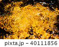 golden yellow blurry abstract water background 40111856