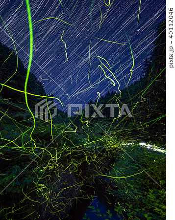 和歌山県紀の川市のホタルと星の光跡の競演 和歌山県紀の川市のホタルと星の光跡の競演 40112046