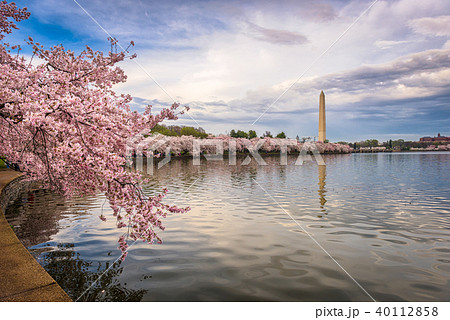 Washington DC in Spring 40112858