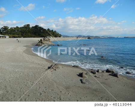 桂浜を望む 40113044